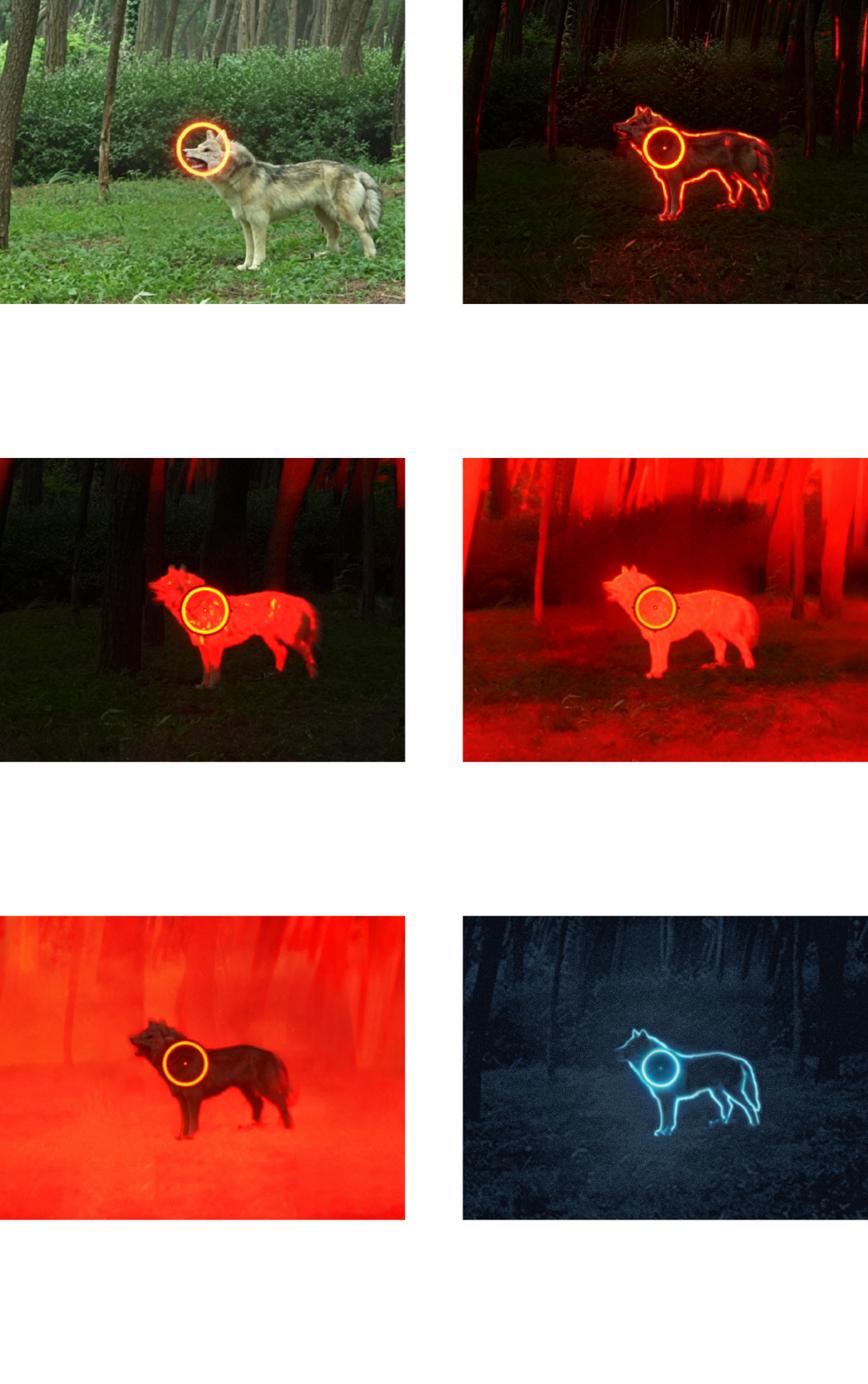 ITGTAC